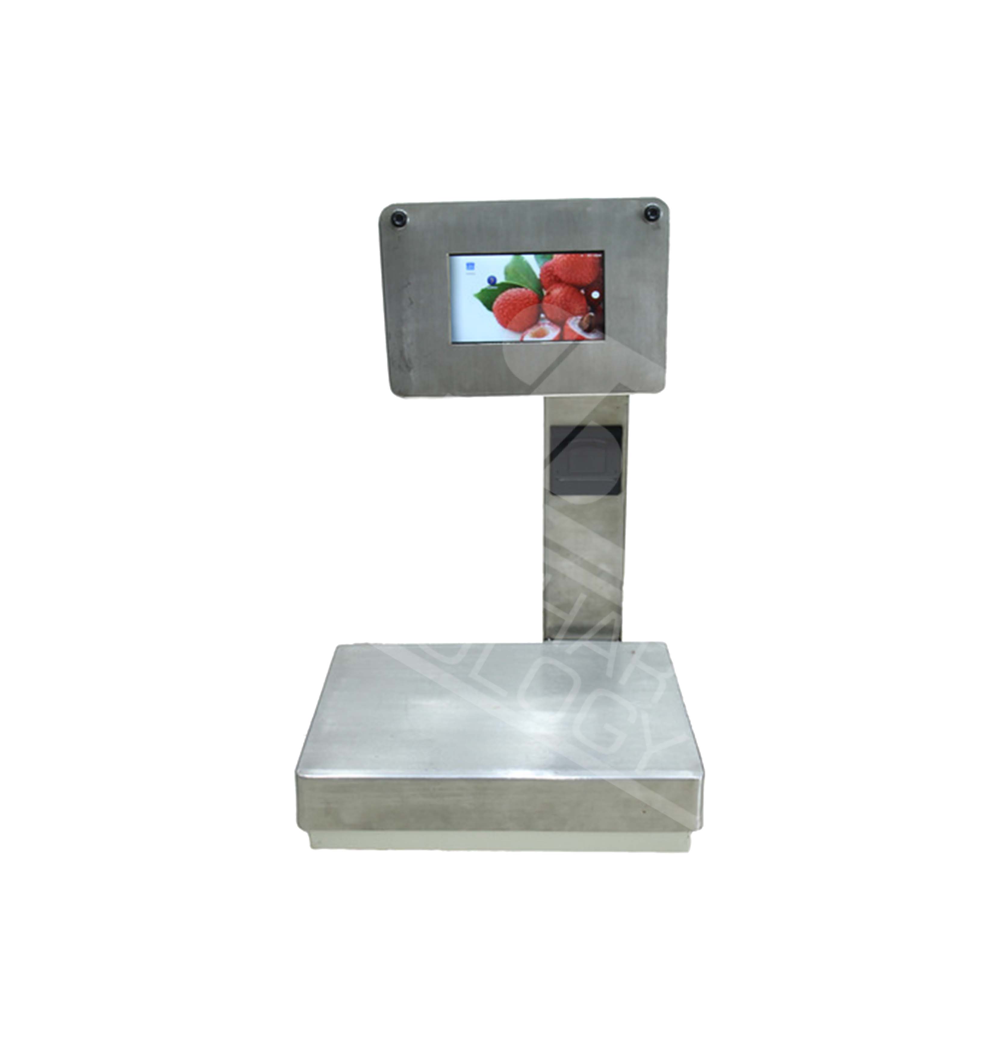 30 Kg Touch Scale POS 10 inch